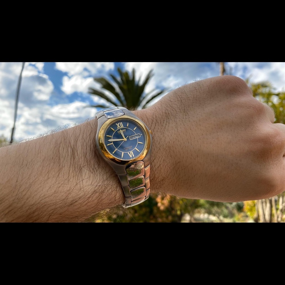 Citizen Endeavor Titanium Watch